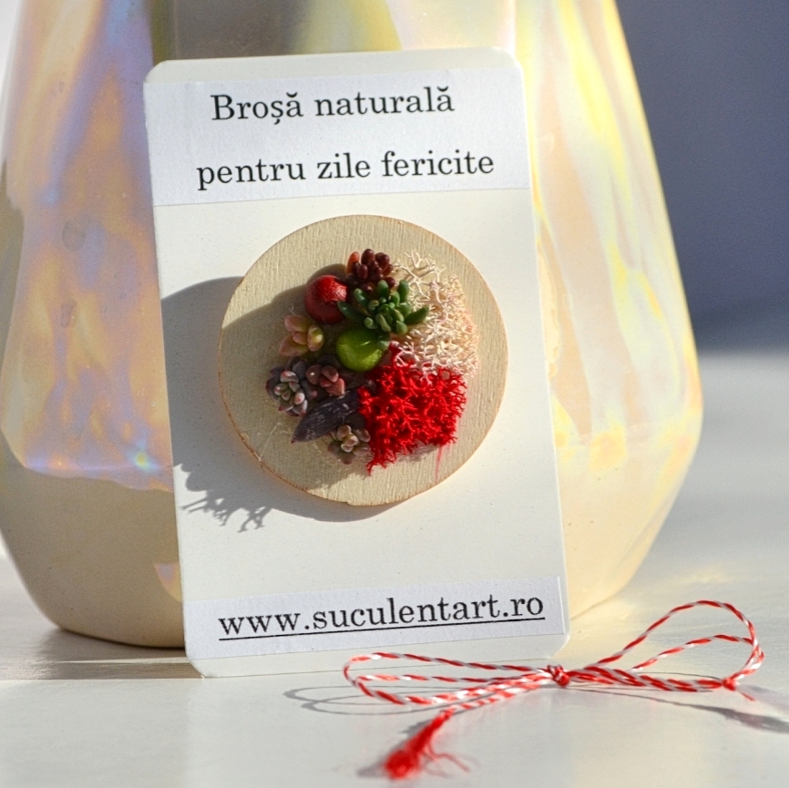 Martisor suculent natural, tip brosa, rotund