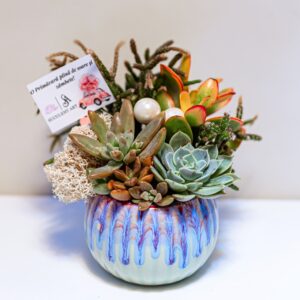 Aranjament suculent natural, in vas ceramic "Fantasy in Green"