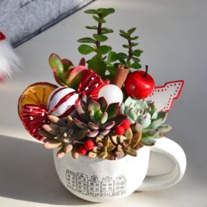 Aranjament suculent natural - "Christmas story" 1