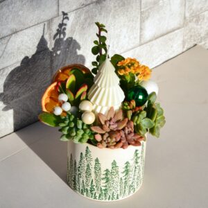 Aranjament suculent natural - " Christmas story" 3