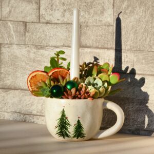 Aranjament suculent natural - " Christmas story" 2