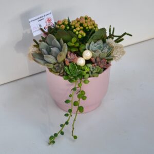 Aranjament suculent natural, in vas ceramic roz