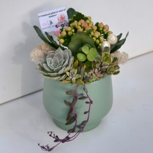 Aranjament suculent natural, in vas ceramic vernil