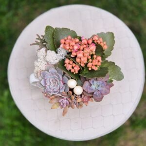 Aranjament suculent natural , in cana ceramica alba 2